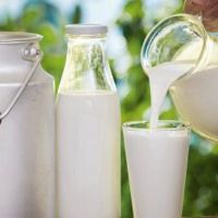 Փոփոխություններ՝ 2026 թ. կաթի արտադրության համար սուբսիդավորման տրամադրման միջոցառման մեջ