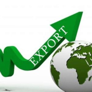 Կառավարությունը կընդունի աջակցության ծրագիր, որով կսուբսիդավորվի ջերմատնային ապրանքի արտահանումը. Պապոյան
