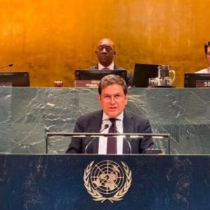 COP17-ից առաջ Հայաստանը ՄԱԿ-ում ներկայացրել է բնության պաշտպանության իր տեսլականը