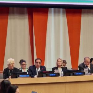 Անդրանիկ Հովհաննիսյանը ECOSOC-ում ներկայացրել է Թմրամիջոցների հարցերով հանձնաժողովի աշխատանքները