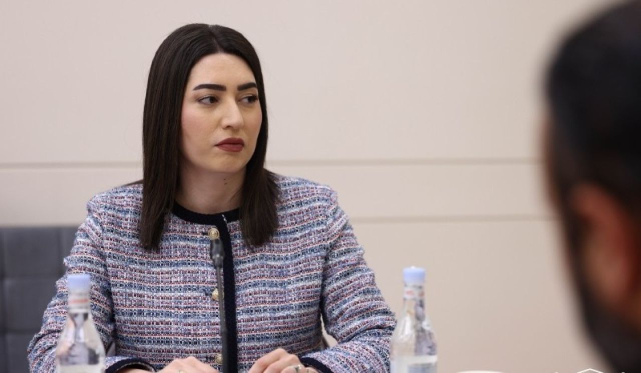 ՆԳ նախարարն ԱԺ-ում ներկայացրել է վարորդական իրավունքի վերականգնման նոր մոդելը