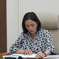 Ժաննա Անդրեասյանը ներկայացրել է ԿԳՄՍՆ բյուջեի կատարողականը