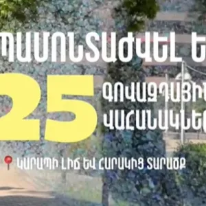 Կարապի լճի և հարակից տարածքում ապամոնտաժվել է 25 գովազդային վահանակ