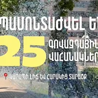 Կարապի լճի և հարակից տարածքում ապամոնտաժվել է 25 գովազդային վահանակ