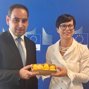 Հայկական ծիրանի առաջին խորհրդանշական խմբաքանակը ժամանել է ԵՄ. Մարթա Կոս