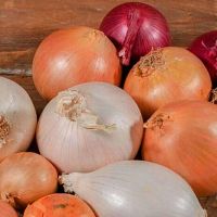 Հայաստանը կսկսի գործարկել երրորդ երկրներից սոխի անմաքս ներմուծման քվոտա