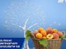 ՎՏԲ-Հայաստան Բանկը գրանցում է ագրովարկավորման նկատմամբ պահանջարկի աճ