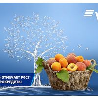ВТБ (Армения) отмечает рост спроса на продукты агрокредитования