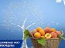 ВТБ (Армения) отмечает рост спроса на продукты агрокредитования