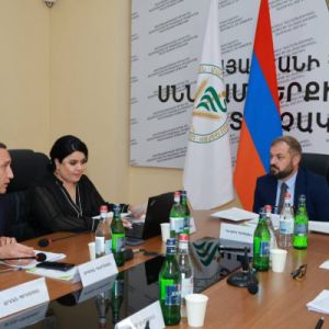 Տեսչական մարմինը նախատեսում է գույքագրման ծառայությունները պատվիրակել մասնագիտական կազմակերպությանը