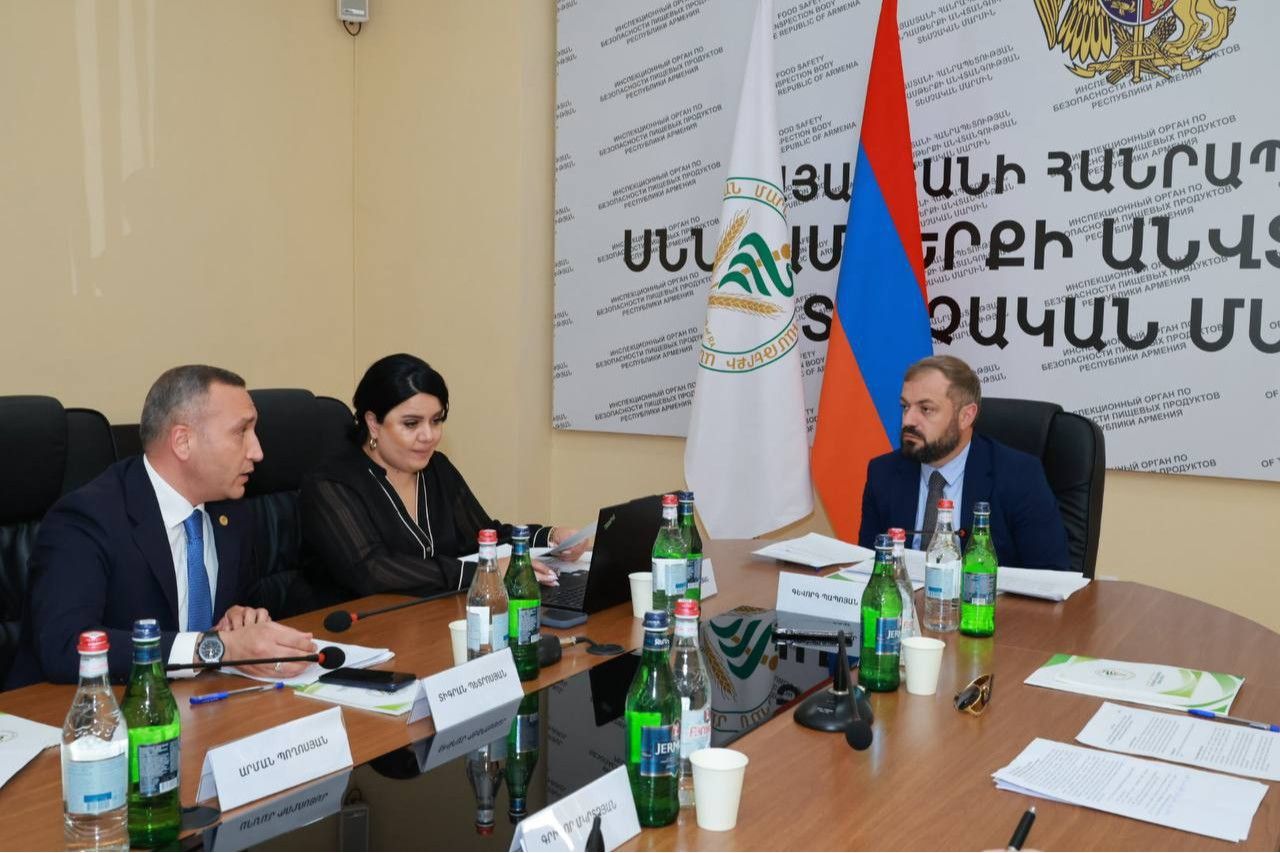 Տեսչական մարմինը նախատեսում է գույքագրման ծառայությունները պատվիրակել մասնագիտական կազմակերպությանը