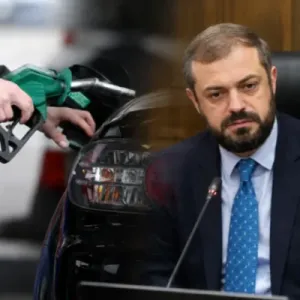 Պապոյանը՝ ՌԴ-ում դիզվառելիքի սղության և Հայաստանում գների մասին