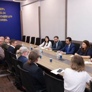 Քննարկվել են ապակենտրոնացման բարեփոխումների շրջանակում հայ-շվեդական համագործակցության հարցերը