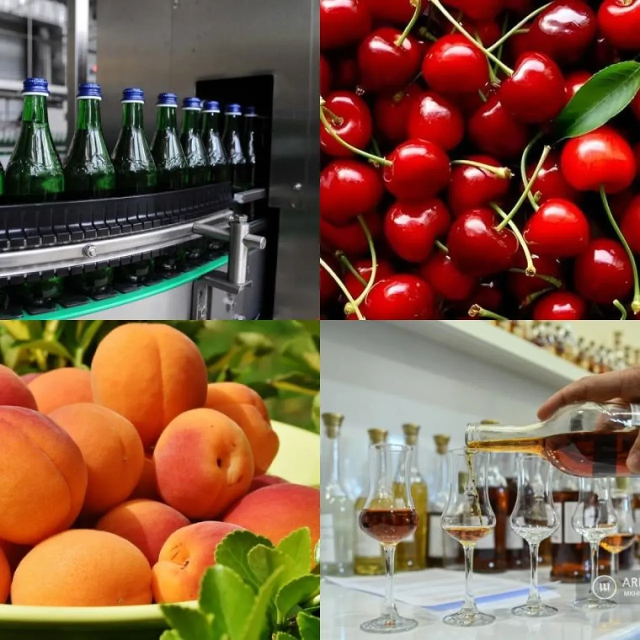 Կառավարությունը տնտեսվարողներին հուլիսին ևս կտրամադրվի արտահանման աջակցություն․ ապրանքների ցանկն ընդլայնվել է
