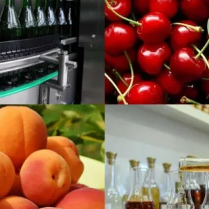 Կառավարությունը տնտեսվարողներին հուլիսին ևս կտրամադրվի արտահանման աջակցություն․ ապրանքների ցանկն ընդլայնվել է