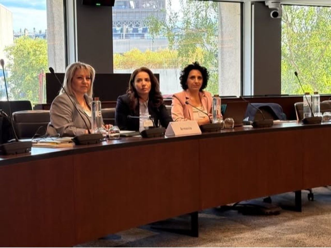 Տեղի է ունեցել  «ԵՄ-ն՝ հանուն կանաչ վերականգման» ծրագրի տարածաշրջանային համաժողովը