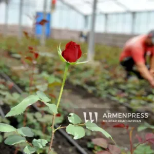 Ջերմատնային տնտեսությունների աջակցության ծրագրով ջերմատան կառուցման ժամկետը նախատեսվում է երկարացնել մինչև 2 տարի