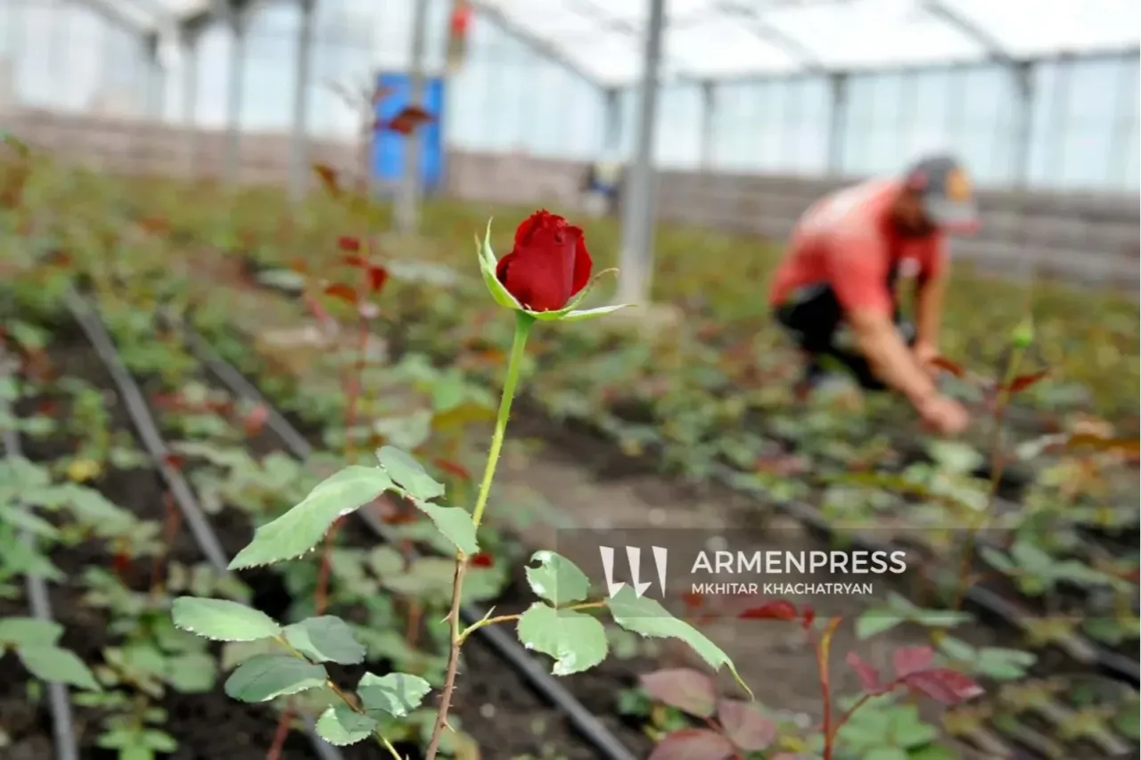 Ջերմատնային տնտեսությունների աջակցության ծրագրով ջերմատան կառուցման ժամկետը նախատեսվում է երկարացնել մինչև 2 տարի