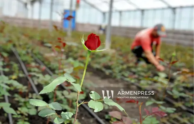 Ջերմատնային տնտեսությունների աջակցության ծրագրով ջերմատան կառուցման ժամկետը նախատեսվում է երկարացնել մինչև 2 տարի