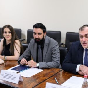 ԲՏԱՆ-ում քննարկվել են COP17-ի նախապատրաստական աշխատանքների շրջանակում համագործակցության ուղղությունները