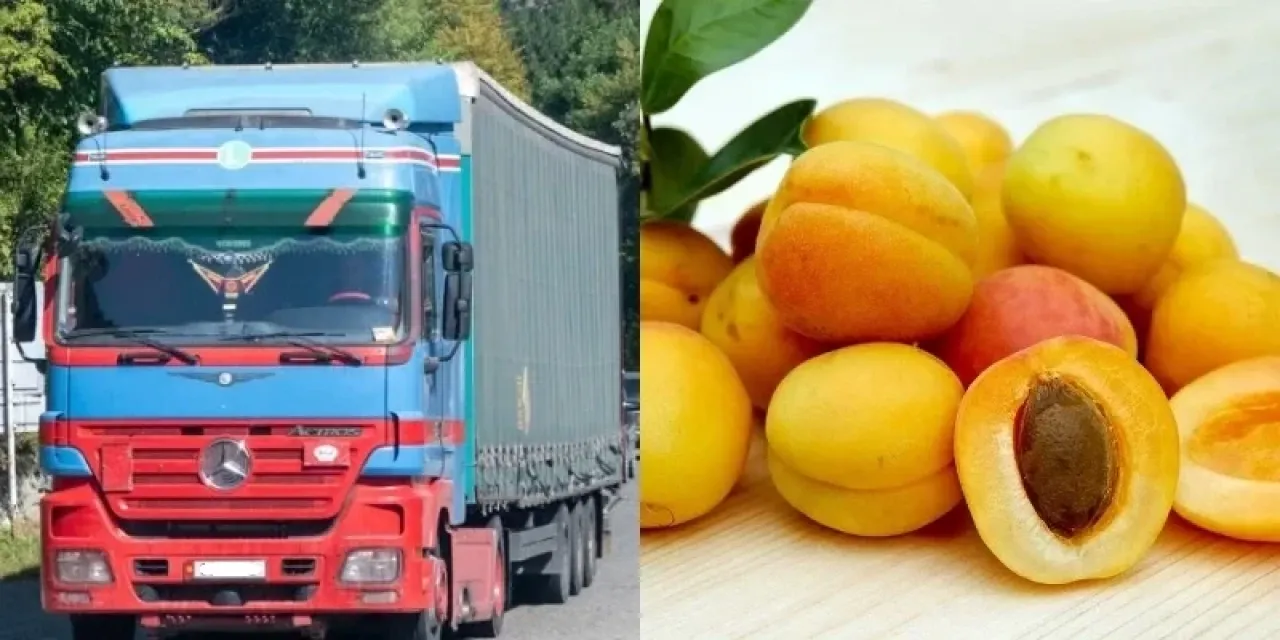 ՀՀ-ից Իսպանիա ծիրան դեռ չի արտահանվել. Էկոնոմիկայի փոխնախարարն անդրադարձել է համացանցի քննարկումներին