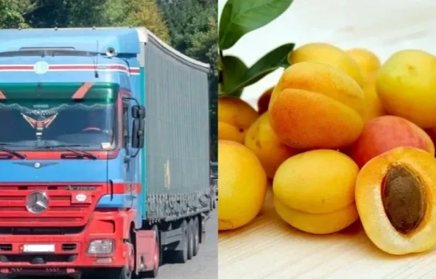 ՀՀ-ից Իսպանիա ծիրան դեռ չի արտահանվել. Էկոնոմիկայի փոխնախարարն անդրադարձել է համացանցի քննարկումներին