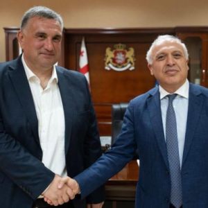 Դեսպան Սմբատյանը և Պլատոն Կալմախելիձեն քննարկել են ՀՀ-Վրաստան ապակենտրոնացված համագործակցության վերաբերյալ հարցեր