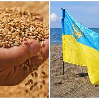 Եգիպտոսը խզել է Ուկրաինայից ցորենի գնման պայմանագրերը