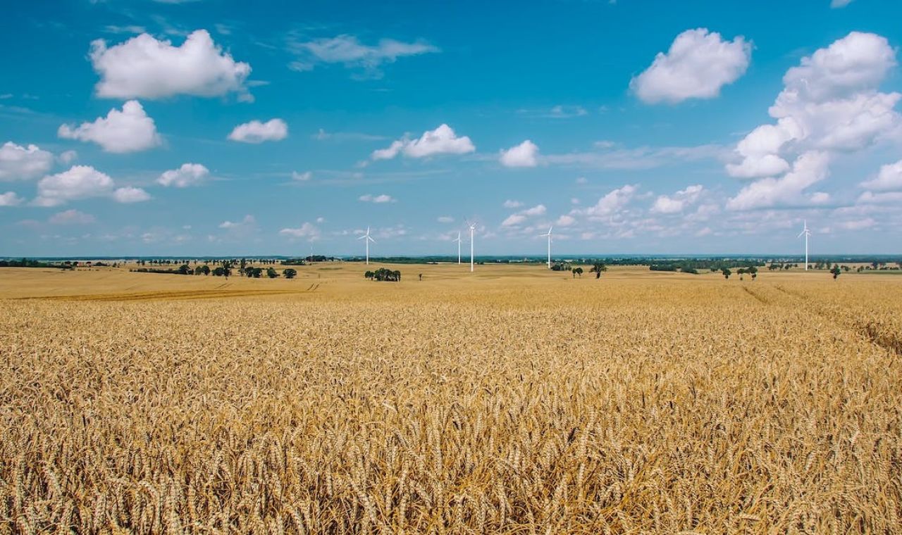 Ուկրաինայից ավելի քան 1,2 մլն տոննա գյուղմթերք են արտահանել պարենային գործարքի շրջանակներում