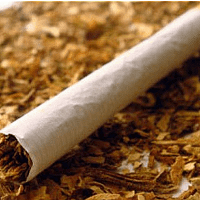 Նոր Զելանդիան հաջորդ տարվանից ծխախոտի գրեթե ամբողջական արգելք կսահմանի