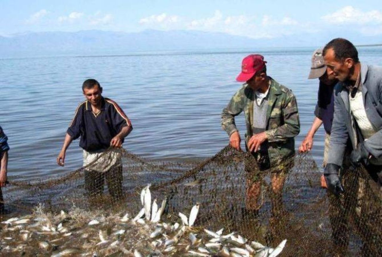 Սևանա լճում ապօրինի ձկնորսության դեպքերը շարունակվում են