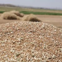 Արթիկի տարածաշրջանի  շահառուների երկրորդ խմբի համար մեկնարկել է աշնանացան ցորենի ցանքատարածությունների գումարների փոխհատուցման գործընթացը