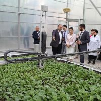Արման Խոջոյանը  Ճապոնիայի դեսպան Ֆուկուշիմա Մասանորիի հետ շրջել է Հայաստանի ազգային ագրարային համալսարանում